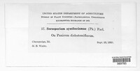 Image Associated With the Occurence